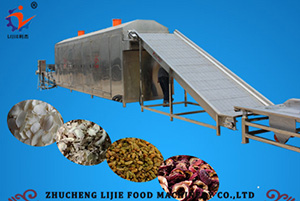 Tunnel-type Hot Air Drying Assemble Line