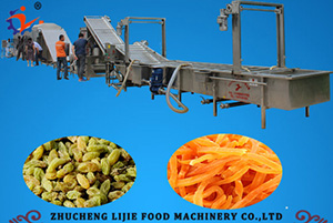 Raisin Processing Line