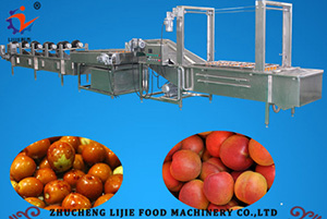 Jujube Cleaning Line