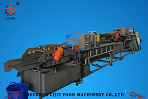 Vegetable & Fruit Washing Processing Equipment